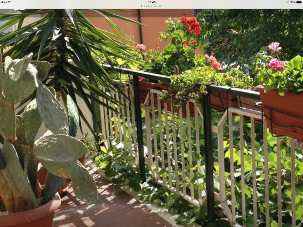 Hotel Mirella Rimini Kültér fotó