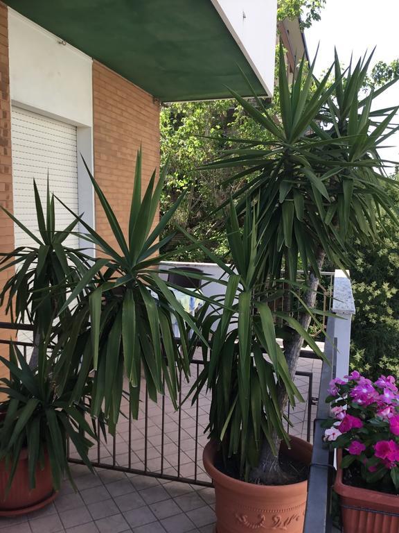 Hotel Mirella Rimini Kültér fotó